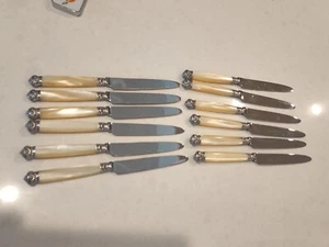 Scof France Set Inox 12 Coltelli Courcelles o Pompadour 8 1/4" Manici Perla - Foto 1 di 6