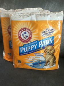 arm and hammer dog pads