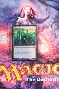 MTG- Wirewood Lodge - Rare Land - Mystery Booster - Bild 1 von 1