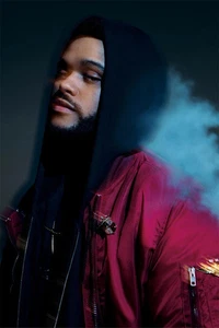 The Weeknd Singer Musician Artist Painting Wall Art Home Decor - POSTER 12"x18" - Picture 1 of 3
