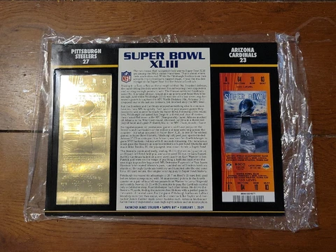 SUPER BOWL XLIII Pittsburgh Steelers vs Arizona Cardinals GOLD TICKET STAT CARD Cover