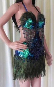 Da NeeNa R60 Forrest Peacock Feather Salsa Vegas Dance Drag Dress S - Picture 1 of 4