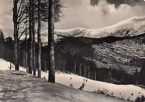 24-49A) CARTOLINA ABETONE CAMPI DI SCI TAGLIO MARCHETTI VIAGGIATA PISTOIA - Imagen 1 de 2