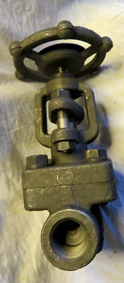 DSI 1/2" Steel Threaded Wedge Gate Valve Threaded  (160-D6) - Image 1 of 4