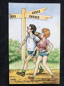 Collectable Funny Postcard Unused By Barmforth Risqué Humour Comic No.1042 - Picture 1 of 2