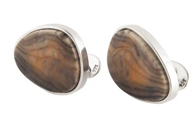 Gemelos fósiles de madera de secuoya de alan k. tau Foto 1 de 2