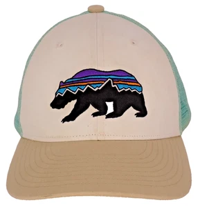 Gorra Patagonia Fitz Roy Trucker Juvenil Azul Tostado Snap Back Bear Niños Niño - Imagen 1 de 5