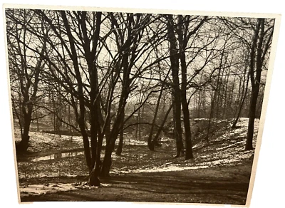 Arthur Gray Standard Oil Photographer Cleveland Ohio Americana Wooded Landscape! - image 1 of 4