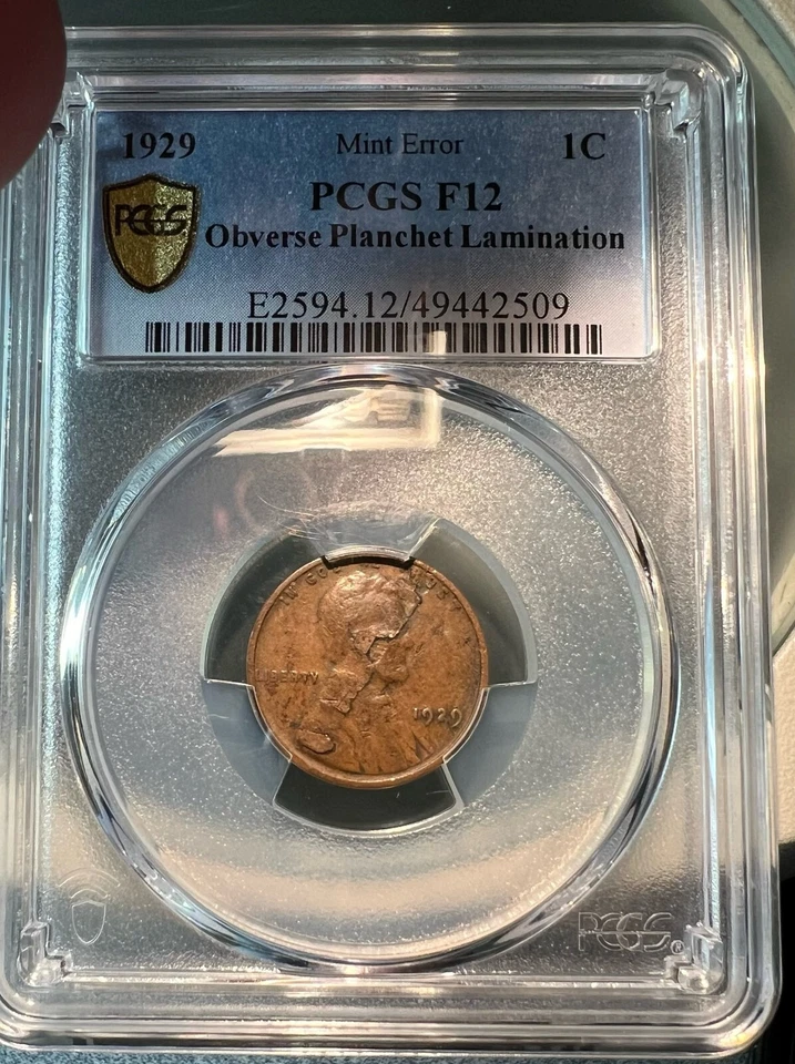 1929 PCGS F12 Wheat Cent Mint Error~ Obv Lamination~ Neat Coin - Image 1 of 2