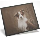 Placemat Mousemat 8x10  - Brown Australian Shepherd Puppy Collie Dog  #44464