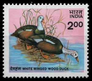 India 1985 - Michel n. 1021 ** - MNH - Anatre / Anatre - Foto 1 di 1