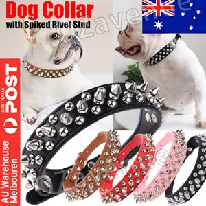 Dog Collar Leather Studded Black Brown Small Medium Large Breeds Pet Melbourne - Picture 1 of 16