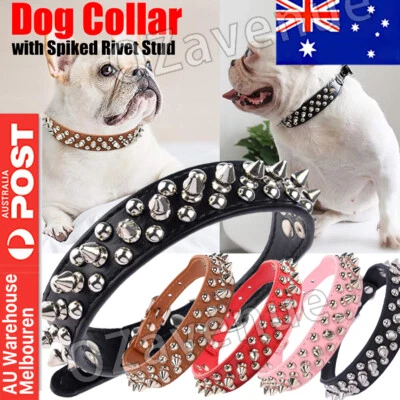 Dog Collar Leather Studded Black Brown Small Medium Large Breeds Pet Melbourne - image 1 of 4