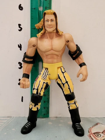 1999 Toybiz WCW Lionheart Chris Jericho Ring Masters Action Figure WWF WWE WCW Cover