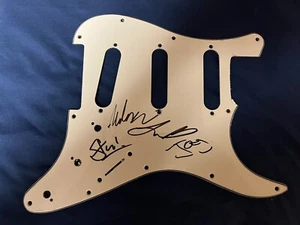 King Gizzard & The Lizard Wizard Signed Autographed Strat Pickguard Stu - Imagen 1 de 2