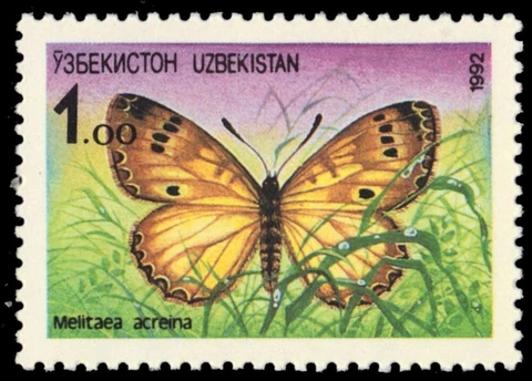 UZBEKISTAN 2 - Brush-footed Butterfly "Melitaea acreina" (pb65939) Cover