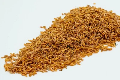 SUPER AQUARIUM AQUARIUM FISH, KOI FOOD, TURTLE, TERRAPIN FREEZE DRIED SIBERIAN SHRIMP, GAMMARUS