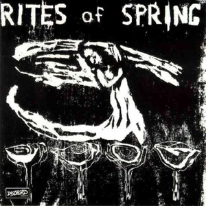 RITES OF SPRING S/T LP Punk Rock HARDCORE Emo BLACK VINYL Reissue REMASTERED New - Imagen 1 de 1