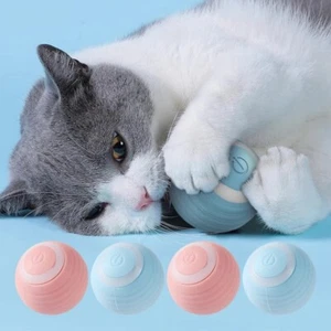 Interactive Rolling Cat Toy - Automatic Rechargeable Moving Ball - Picture 1 of 6
