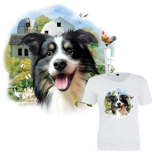 Camiseta Border Collie mujer perro motivo *3070 - Imagen 1 de 3