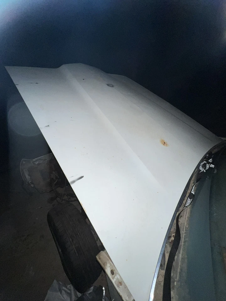 Capó/capó de Ford Thunderbird 1973 Foto 1 de 4