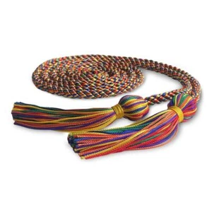 Endea Graduation Single Honor Cord Rainbow - Picture 1 of 4