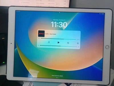 Apple iPad Pro 12.9-inch Wi-Fi  storage Capacity 256GB - Image 1 of 4