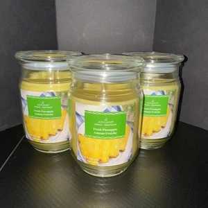 Lot Of 3 “17 Oz” Fresh Pineapple Scented Jar Candle by Ashland Discontinued New - Picture 1 of 2