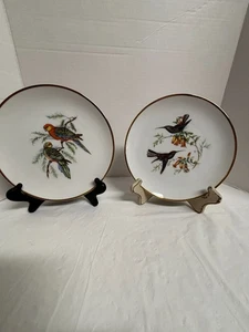 Vintage 2er Set Porzellan "Vogel" Teller 8" Goldrand West Germany Made Atemberaubend - Bild 1 von 6
