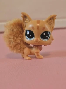Littlest Pet Shop #79 Mainly Flufftail Orange Stripe Maine Coon The Sweet Sort - Picture 1 of 3
