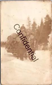 Real Photo Horse Drawn Logging Sleigh 4th Lake Adirondacks NY New York R277 - Picture 1 of 3