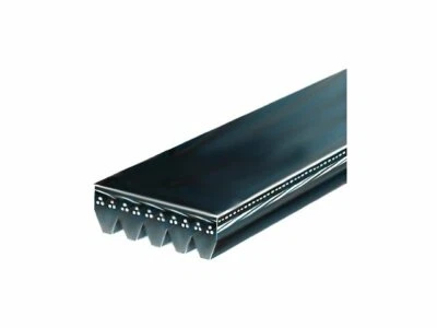 Cinturón multi costilla para Suzuki Aerio 2002-2003 AC Delco 53343CR 2,0 L 4 cilindros GAS Foto 1 de 2