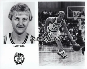 NBA Larry Bird Boston Celtics Team Issued Card REPRINT 8 X 10 Photo Pic - Bild 1 von 1