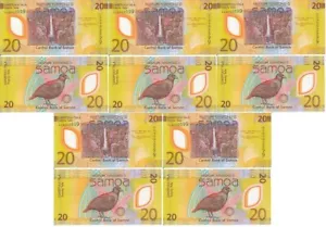 Samoa - 5 Stck. x 20 Tala 2023 (2024) UNC Polymer Lemberg-Zp - Bild 1 von 2