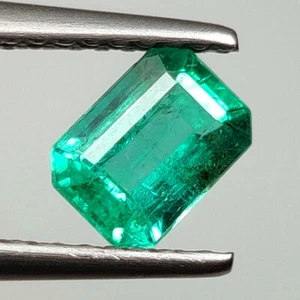 0.76 CT - Natural Zambian Emerald Special Luster Gem Octagon Shape - 7488 - Picture 1 of 2