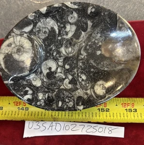 Hand Carved Ammonite Orthoceras Fossil Stone Bowl Jewelry Tray Trinket 4” X 5.5” - Foto 1 di 1