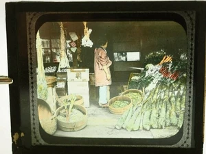 Bamboo Sprouts on Right Japan Hand Colored Tinted Magic Lantern Museum Slide - Picture 1 of 4