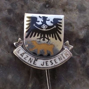 Antique Lazne Jesenik Black Eagle Brown Bear Official Coat of Arms Pin Badge - Picture 1 of 2