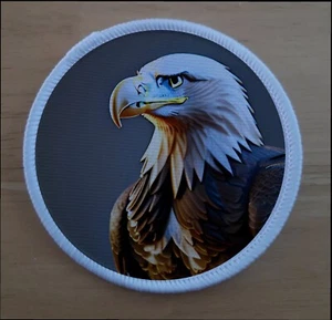 Insignia de parche American Eagle Bird Art de 3 pulgadas para hierro o coser - Imagen 1 de 1