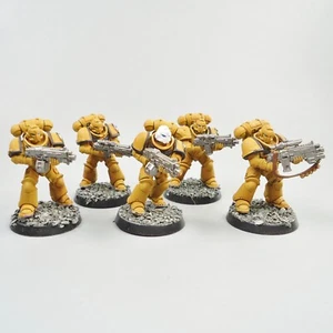 Imperial Fists Primaris Intercessors x5 Painted Warhammer 40k Army Space Marines - Picture 1 of 4