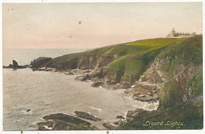 Echsenlichter, Cornwall - Bild 1 von 1