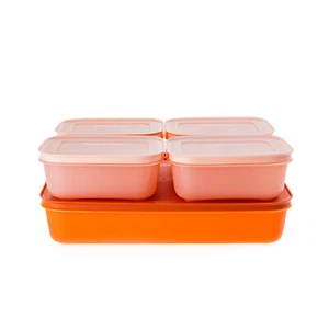 Tupperware Eiskristall Gefrierbehälter 2,25 l orange + 4x 450 ml lachs - Bild 1 von 1