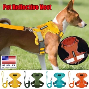 Pet Control Harness for Dog Cat Soft Mesh Walk Collar Safety Strap Vest Leash - Picture 1 of 22