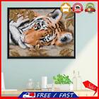 14CT Stamped Cotton Thread Cross Stitch Kit Lying Tiger Embroidery (DA244)