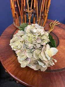 NEW Pottery Barn Faux Hydrangea Bundle 4 Stems Dusty Green NWT - Picture 1 of 10