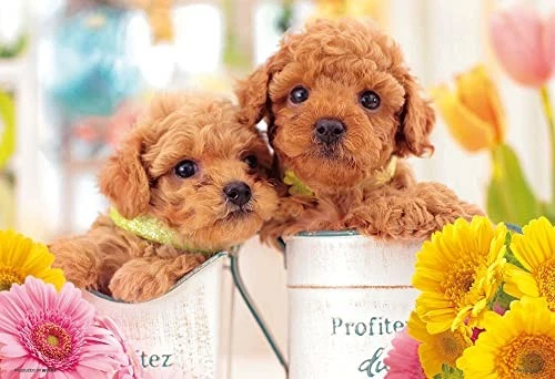 [日本制造] Beverly 500 小拼图 &quoti Love You!" 26 x 38 厘米 — 第 1/2 张图片