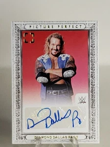 Diamond Dallas Page 2024 Panini Photogenic WWE Picture Perfect AUTO DDP - Picture 1 of 3