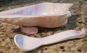 Plato náutico vintage de 9" con concha de mar con cuchara de 63/4"  - Imagen 1 de 10