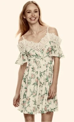 DISNEY PRINCESS Adult Dress Women S. Mini Floral Lace Lagenlook Stretch A-line - Image 1 of 4