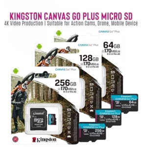 Kingston 64GB 128GB 256GB Canvas Go Plus A2 C10 UHS-I U3 karta pamięci microSD UK - Zdjęcie 1 z 12
